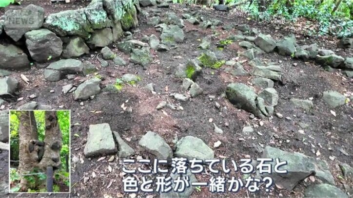 周辺には溶岩石