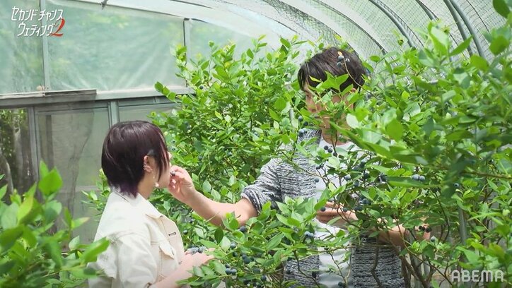 婚活中の28歳美人YouTuber、34歳美容整形外科医の男性に心を決める！本格的な三角関係に『セカンドチャンスウェディング2』第5話