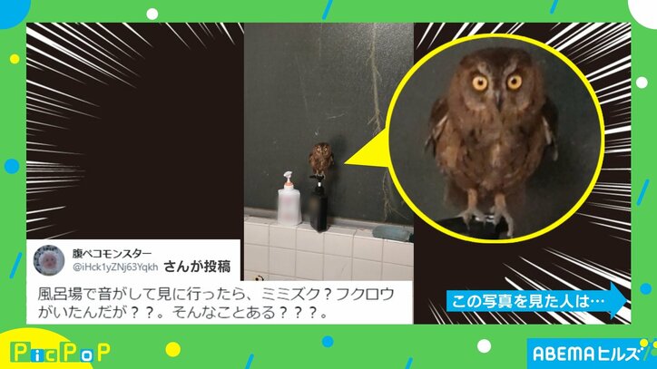 「そんなことある?」風呂場に突如現れた“珍客” 凛々しい佇まいに「福が来るかも」「ちっさくてかわいい」と反響