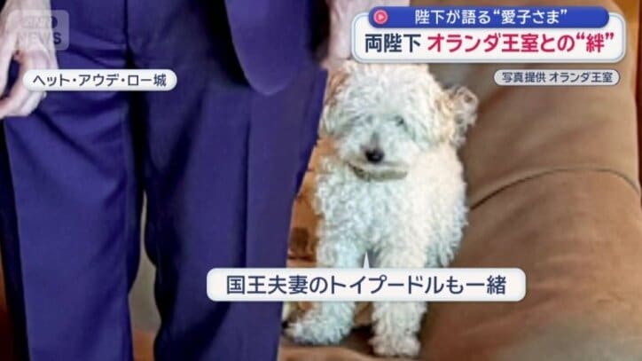 国王夫妻の犬も一緒