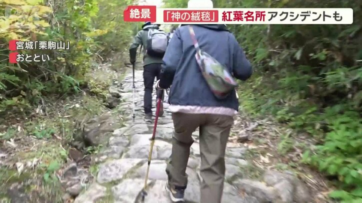 急な登山道に苦戦