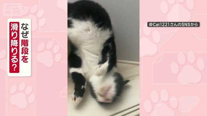 なぜ階段を滑り降りる？