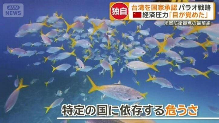 自らの手で経済を回す「多角化戦略」へかじ切り