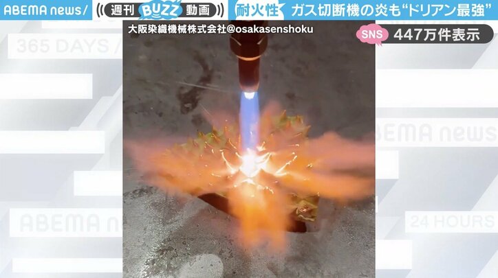 大阪染織機械株式会社