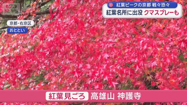 高雄山にある「神護寺」