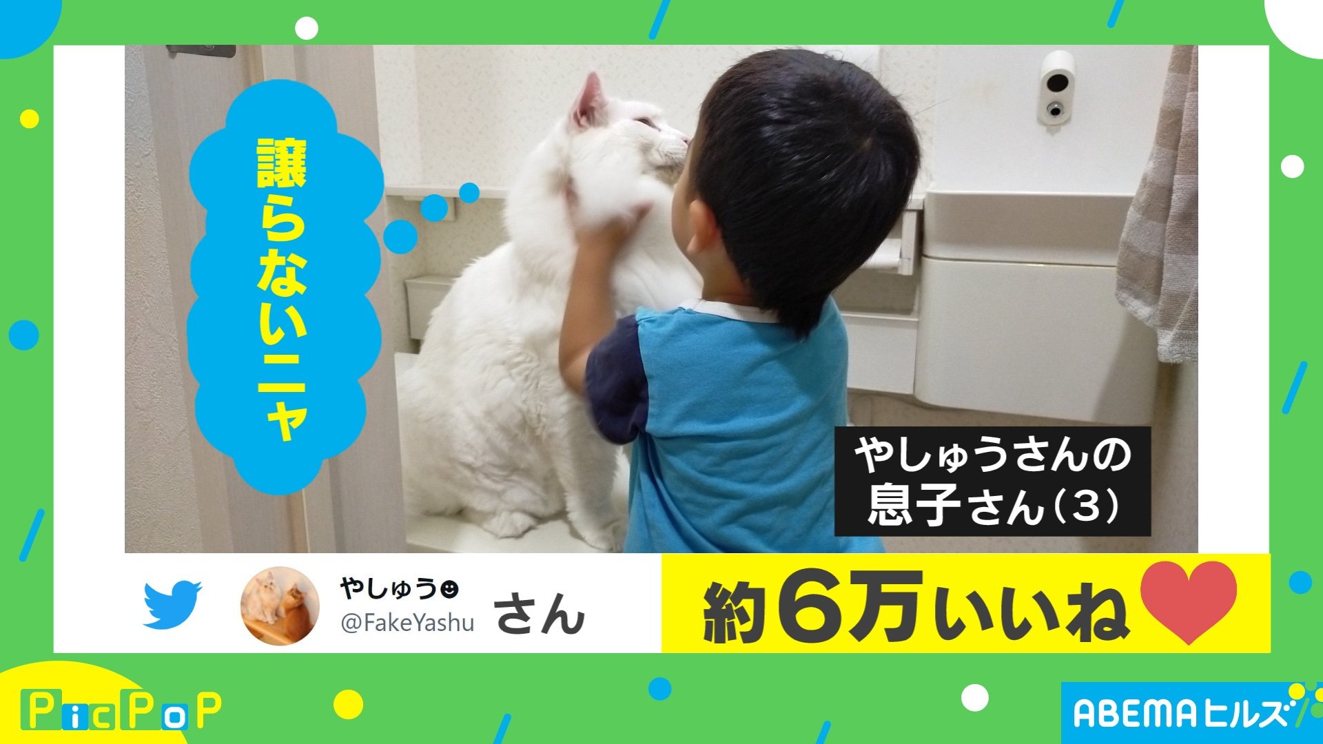 譲らないニャ トイレを占領する猫と3歳児の戦いがtwitterで話題 構ってもらえると知っているのか Abematimes Goo ニュース