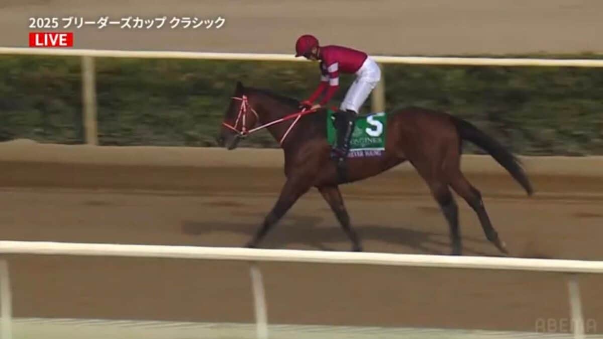 ブリーダーズC】藤田晋オーナーら陣営も大歓喜！ フォーエバーヤングの