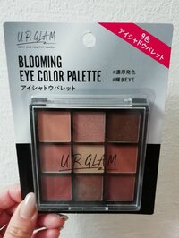 山川恵里佳『ダイソー』