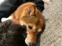 尾形あい『我が家らしく』