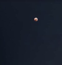 秋野暢子『皆既月食に祈る』