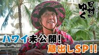 ハワイ未公開SP！放送ギリギリを攻めて丸出し！『日村がゆく』