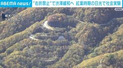 “右折禁止”で渋滞緩和へ 紅葉時期の日光で社会実験