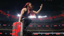 日本女子レスラー、美しすぎる場外ムーンサルトで武闘派集団を一掃「すげえ威力」ファン驚嘆