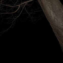 OGGYWEST、最新アルバム『무섭다(ムソプタ)』のデラックス版から先行シングル「腰」をリリース。