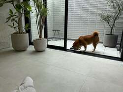  パンサー尾形の妻、新居での生活で心配していたこと「引っ越しが無事に終わり」 