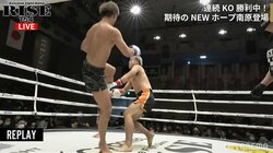 「今のは何だ？」“ふわり”一撃で戦闘不能！ 戦慄の左ハイKO、見た目とダメージのギャップに視聴者騒然