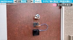 投稿者「防犯対策にどうですか？」←ドアに取り付けられた“動く目玉”に「すごい！欲しい」「夜、自分が腰抜かしそう」