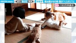 癒される…！赤ちゃんとペットたちに絵本の“読み聞かせ”をする子ども ほほえましい日常が話題沸騰