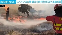 スペイン全土で山火事拡大 鎮火できず兵士500人を追加派遣