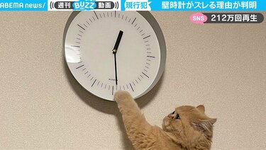 販売 猫 時計 動画