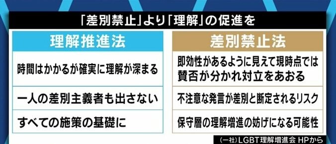 自民党が成立目指す「LGBT理解増進法案」、“差別禁止”の規定は盛り込むべき？当事者や関係者でも割れる意見 14枚目