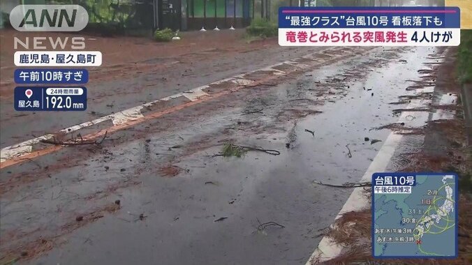 道路には飛ばされた木の枝が散乱