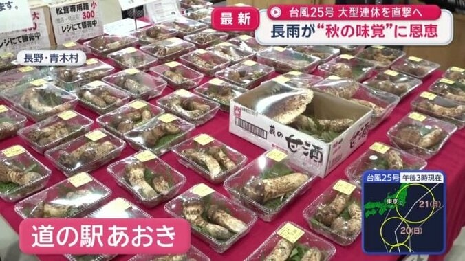 道の駅で大量に並ぶマツタケ