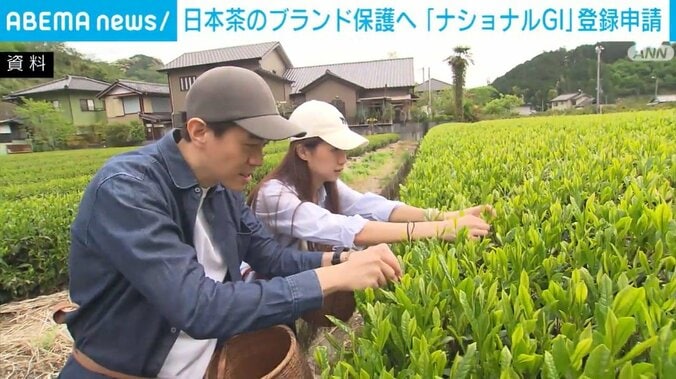 資料