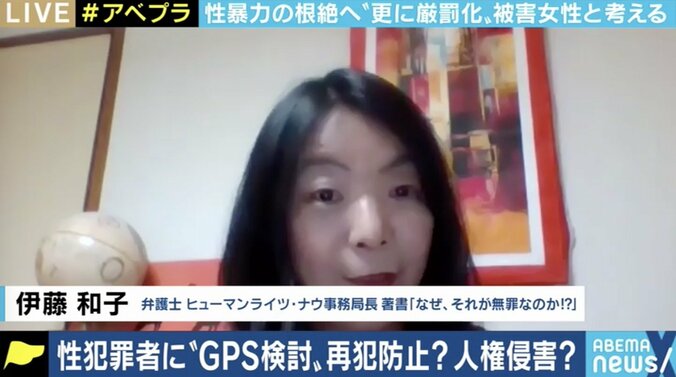 「物理的に性欲をコントロールする方法も」GPS装着義務化でも残る課題、政府の性犯罪対策は十分か 4枚目