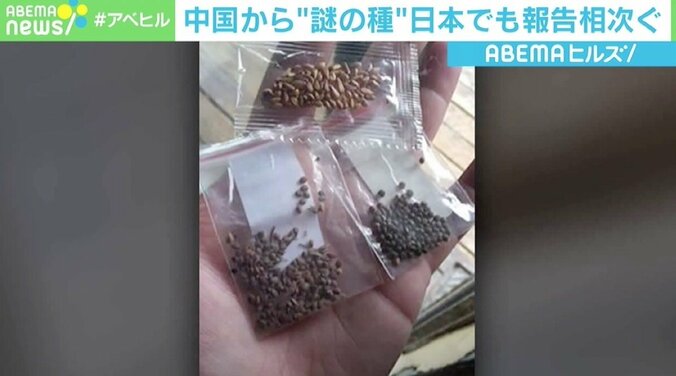 中国から“謎の種” 日本でも報告相次ぐ 植物防疫所が注意喚起「開封したり植えたりしないで」 1枚目