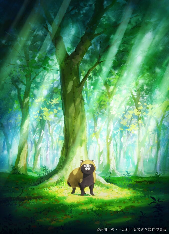 『お前、タヌキにならねーか？』TVアニメ化決定！ティザービジュアル＆特報解禁、監督に神谷純 2枚目