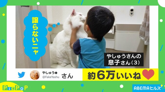 「譲らないニャ」トイレを占領する猫と3歳児の戦いがTwitterで話題「構ってもらえると知っているのか」 1枚目