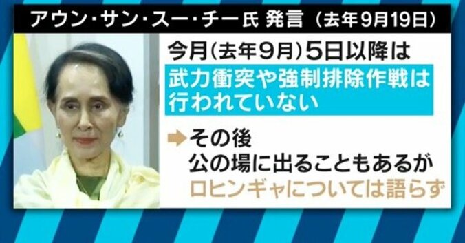 性暴力で妊娠、自ら中絶を試み死亡するロヒンギャ女性も…ミャンマー人の差別意識、SNSで醸成？ 8枚目