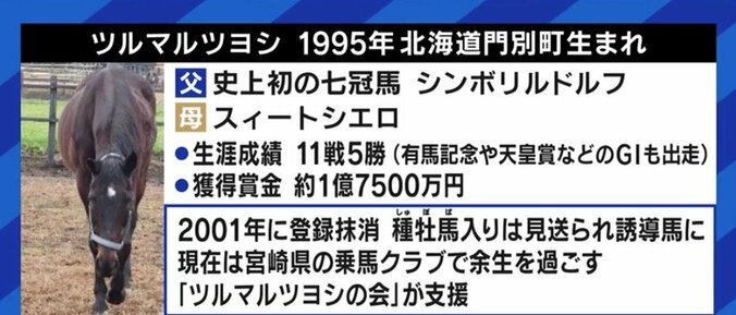 「走れなくなっただけでお肉にしてしまうのはもったいない」馬刺し・家畜の餌になるケースも…競走馬、年間1万頭の“余生”を考える 7枚目