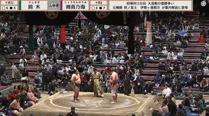 【写真・画像】　1枚目