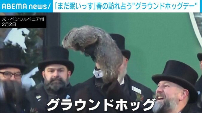 グラウンドホッグ