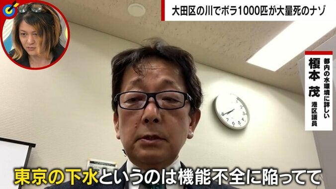 「東京の下水は日常的に河川に垂れ流し」区議が警鐘 水質汚濁で遷都を検討する世界の事例も 2枚目