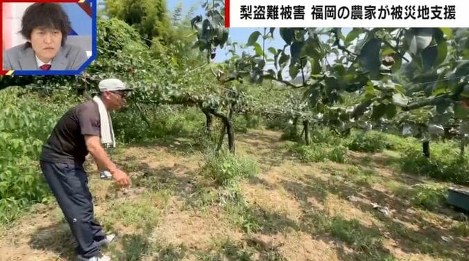 窃盗被害にあった梨農園