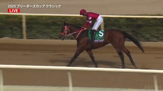 【映像】藤田オーナーら陣営も叫んだ！ 歓喜のガッツポーズの瞬間