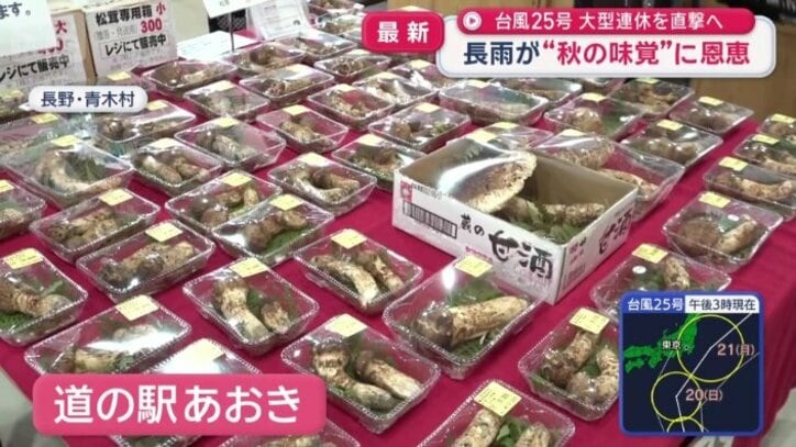 道の駅で大量に並ぶマツタケ