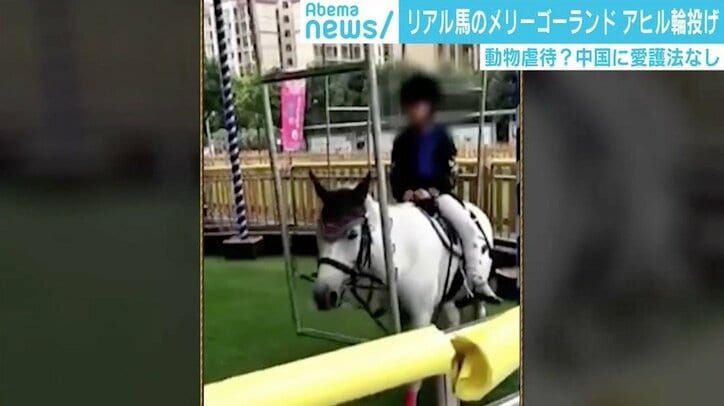 クレーンゲームに生きた猫、梱包され配送される犬も…中国で動物へのトンデモ行為が横行
