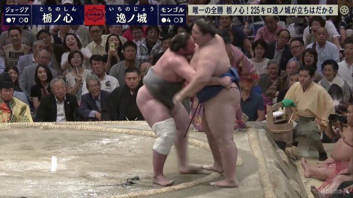 すでに大関相撲！　栃ノ心、225キロ逸ノ城を堂々寄り切り無傷の8連勝　目安の2ケタまであと2勝