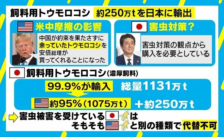 安倍総理「害虫対策」でトウモロコシ250万トン購入 「いかに頭をさげて貿易交渉をやり過ごすか」