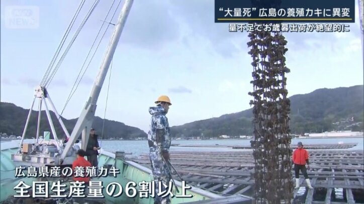 養殖カキの生産量