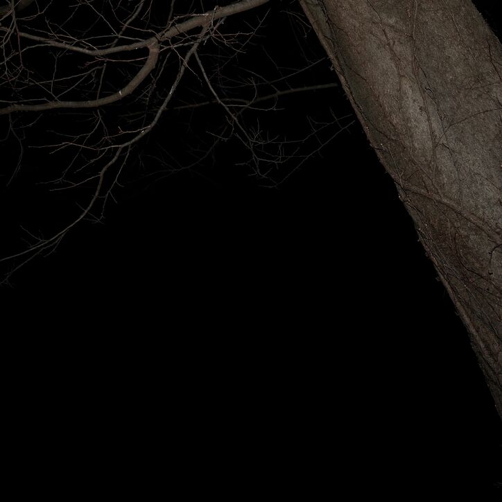 【写真・画像】　2枚目