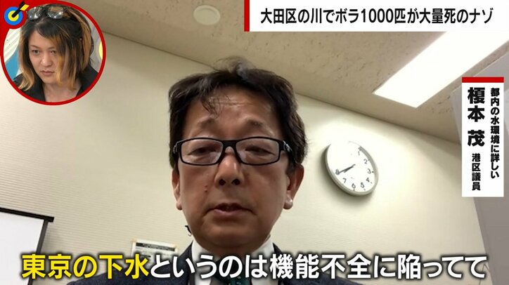 「東京の下水は日常的に河川に垂れ流し」区議が警鐘 水質汚濁で遷都を検討する世界の事例も