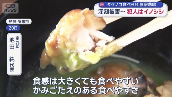 「甘みも多い」