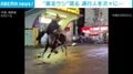 街中で270kgのウシが“大暴走”→通行人を次々と突き飛ばす衝撃の瞬間 複数人けが 中国