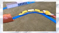 【映像】プラレールを追いかけ、トンネルをくぐるインコ