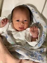 キンタロー。旦那『“ちびキン”ちゃんの爪切りに挑む妻。』